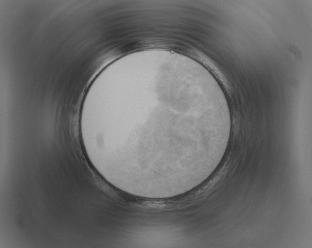 X0000116301194200912291426