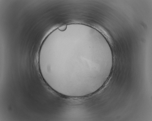 X0000116301198200912291425