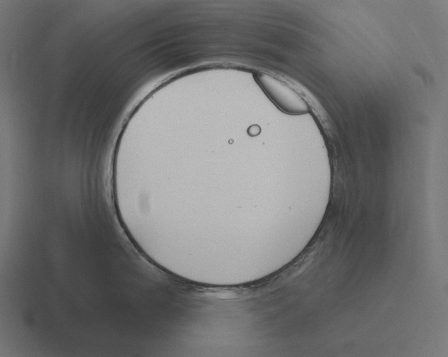 X0000116301199200912291425