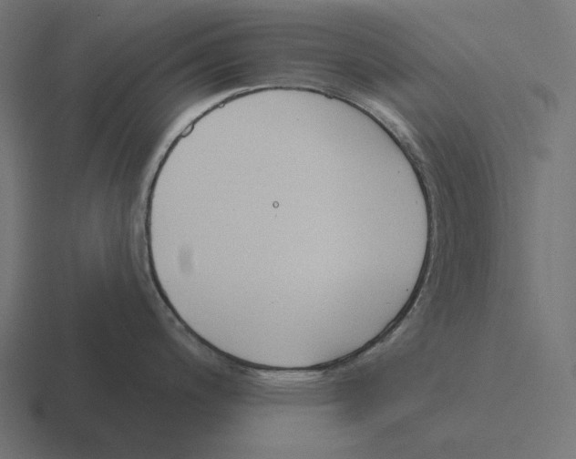 X0000116301200200912291425