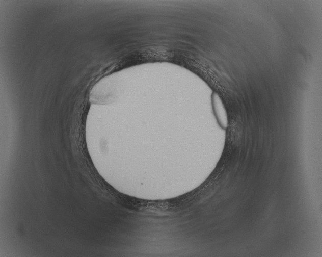 X0000116301201200912291425