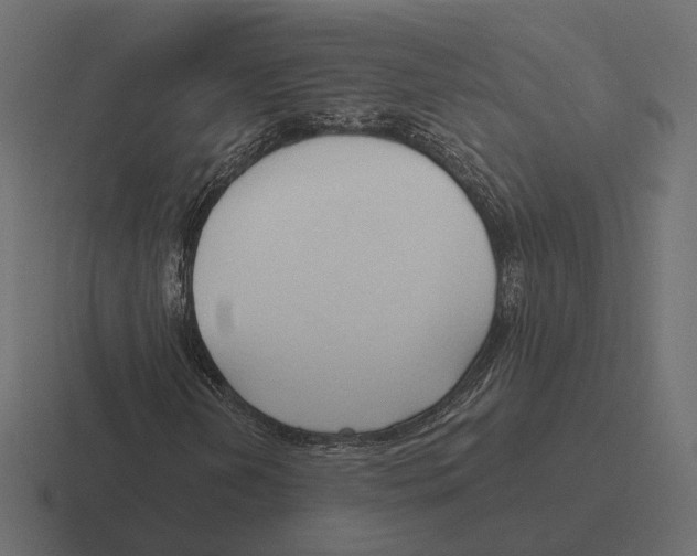 X0000116301202200912291425