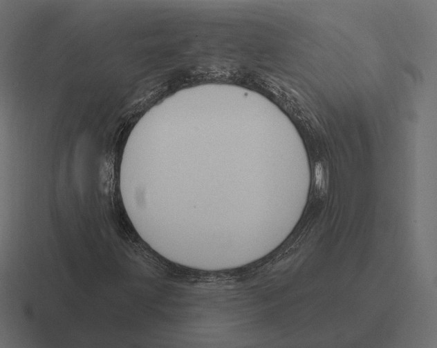 X0000116301203200912291425