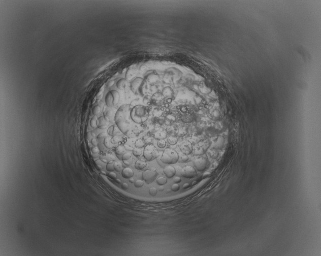 X0000116301205200912291425