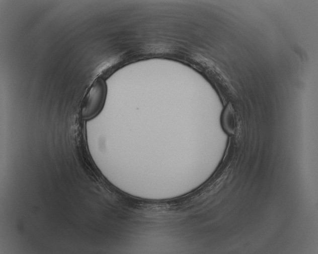 X0000116301210200912291425