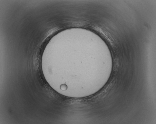 X0000116301211200912291425