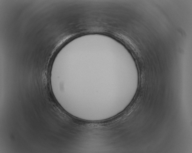 X0000116301212200912291425