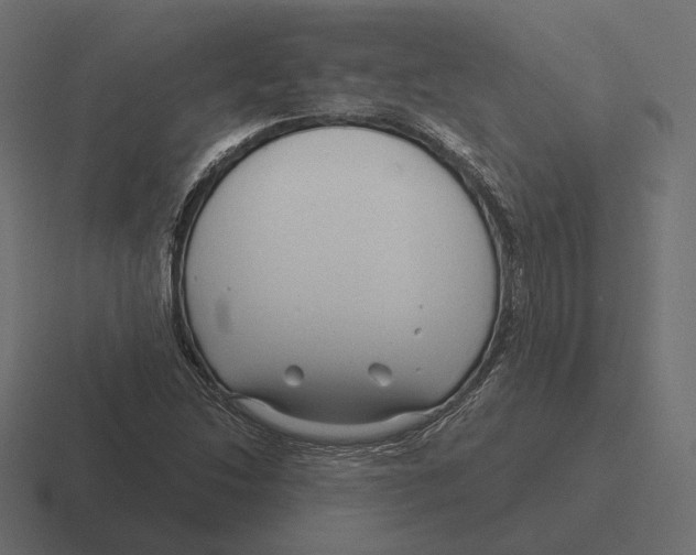 X0000116301214200912291425