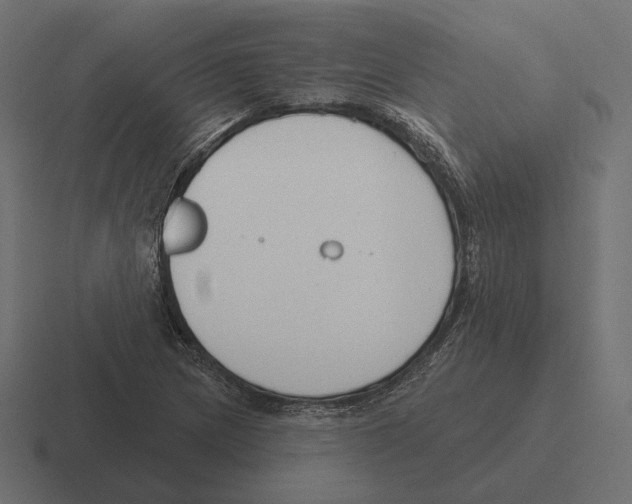 X0000116301217200912291425