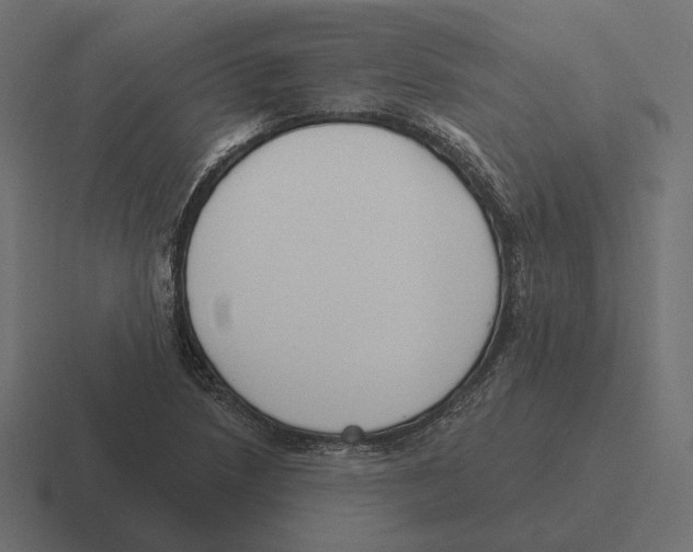 X0000116301218200912291425