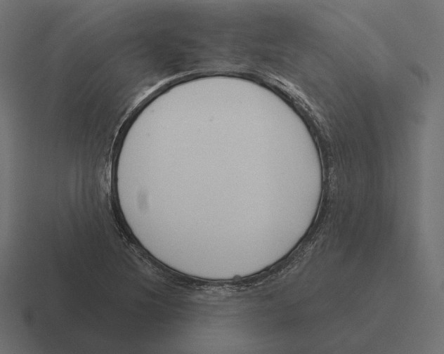 X0000116301220200912291425