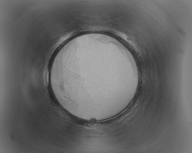 X0000116301221200912291425