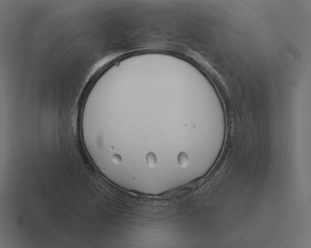 X0000116301222200912291425