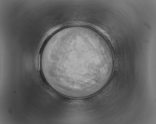 X0000116301223200912291425