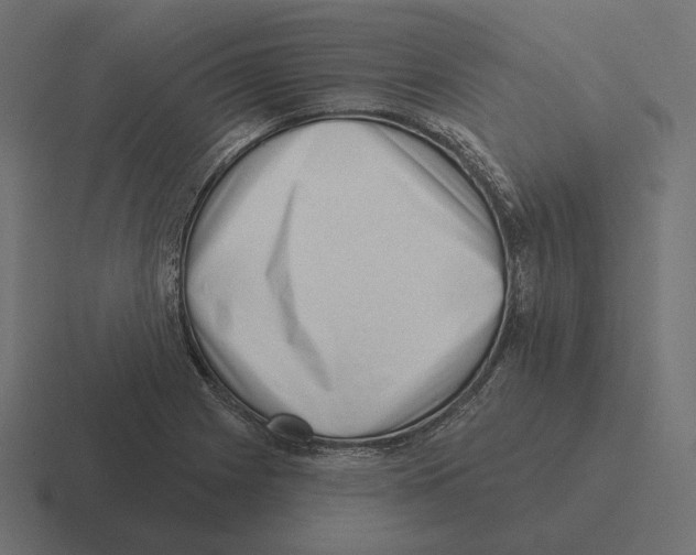 X0000116301225200912291425