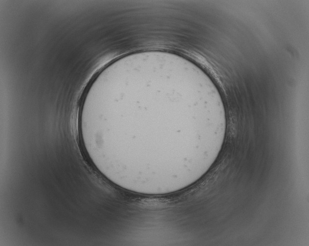 X0000116301227200912291425