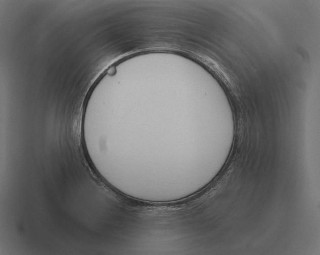 X0000116301228200912291425