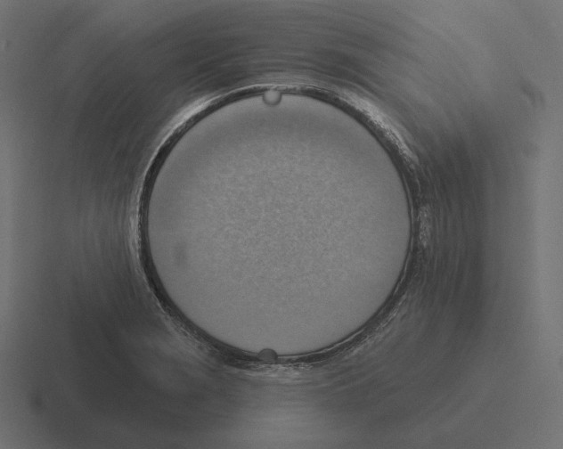 X0000116301229200912291425