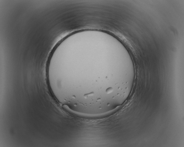 X0000116301230200912291425