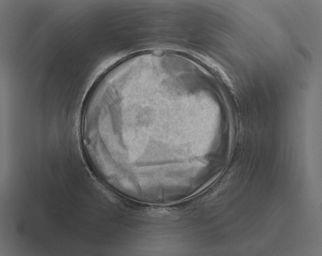 X0000116301231200912291425