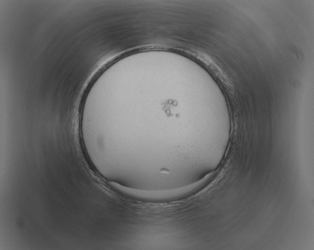 X0000116301232200912291425