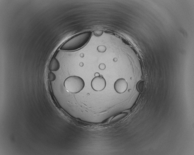 X0000116301235200912291425