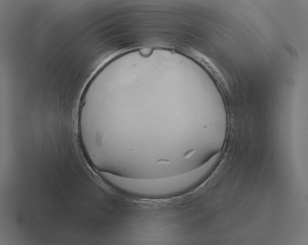 X0000116301236200912291425