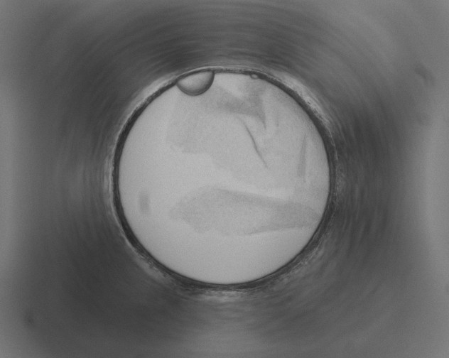 X0000116301237200912291425