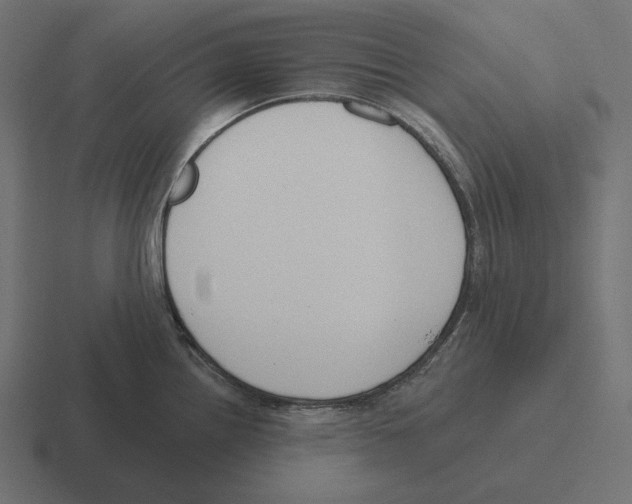 X0000116301242200912291425