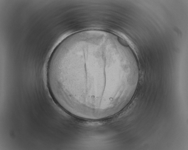 X0000116301243200912291425