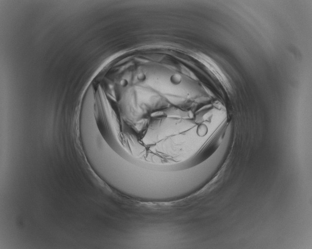 X0000116301244200912291425