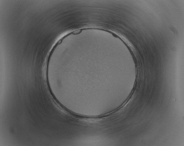 X0000116301246200912291425