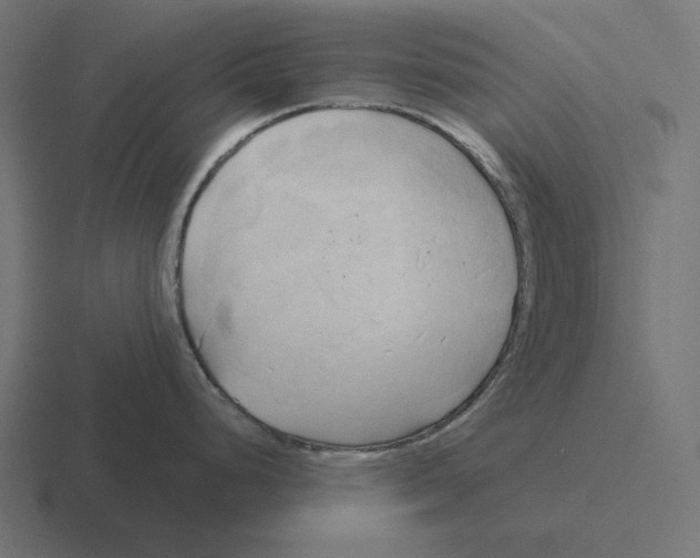 X0000116301248200912291425