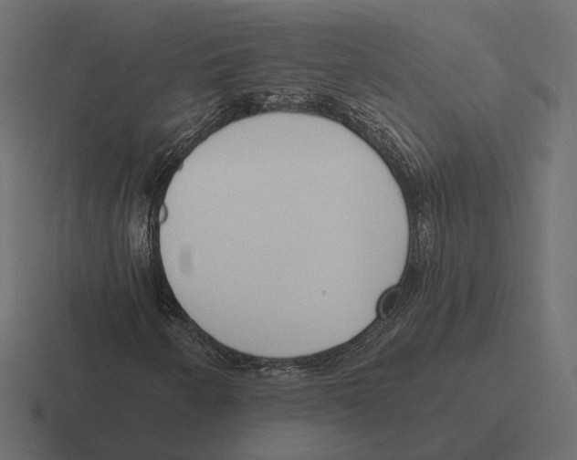 X0000116301250200912291425