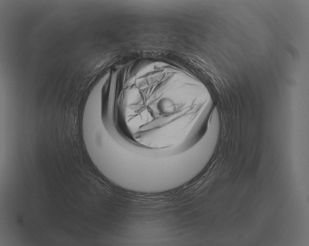 X0000116301252200912291425