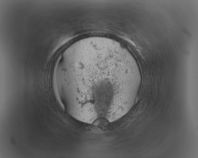 X0000116301255200912291425