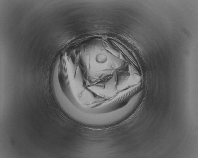 X0000116301257200912291425