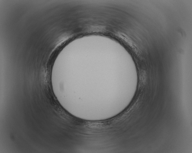 X0000116301258200912291425