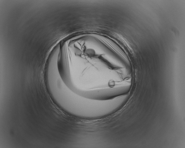 X0000116301260200912291425