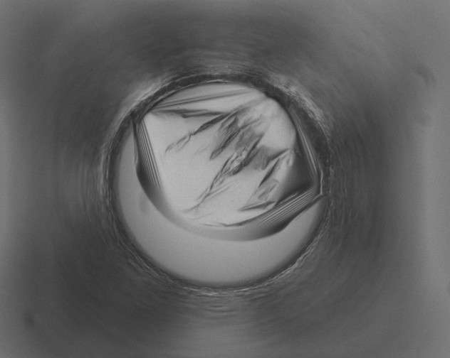 X0000116301261200912291425