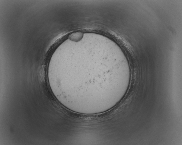 X0000116301262200912291425