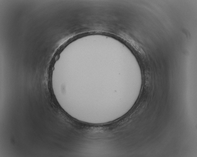 X0000116301264200912291425