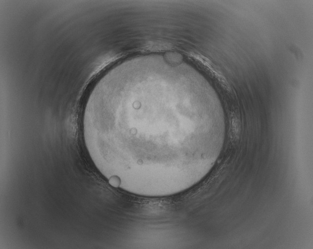 X0000116301266200912291425