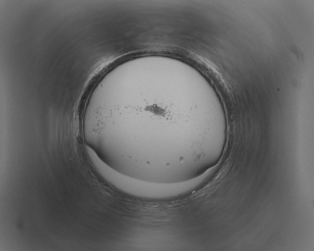 X0000116301267200912291425