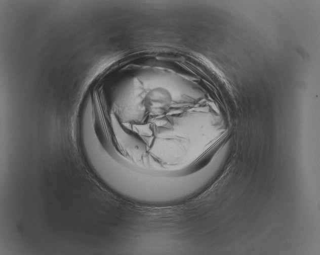 X0000116301269200912291425