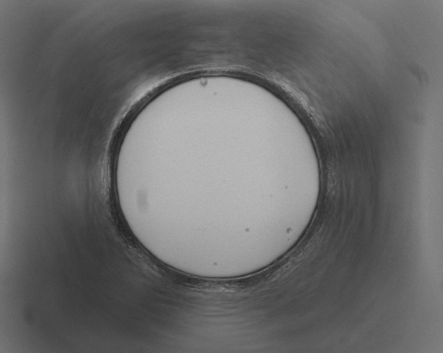 X0000116301270200912291425