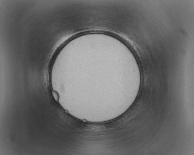 X0000116301271200912291425