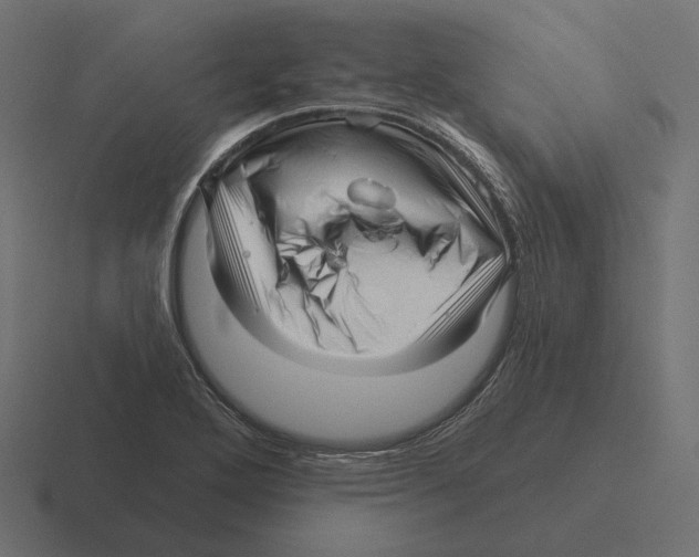 X0000116301272200912291425