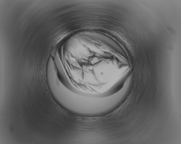 X0000116301273200912291425