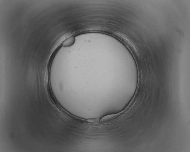 X0000116301274200912291425